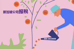 新加坡注冊(cè)公司報(bào)稅