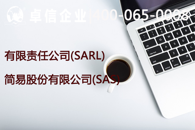 簡(jiǎn)易股份有限公司(SAS)